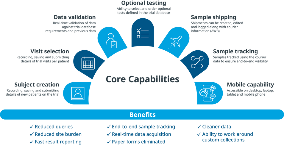 What are the best data management tools for efficient data handling?