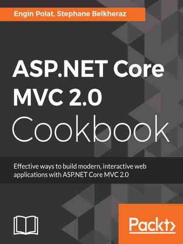 初识Asp.Net MVC2.0，有哪些深入理解和实践技巧值得持续探索？