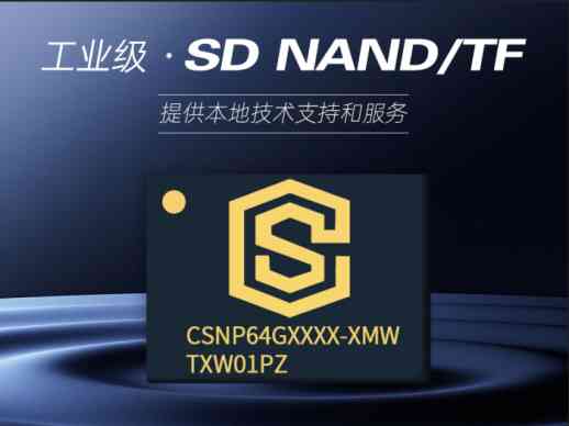 如何全面掌握C语言中的动态内存管理技巧？