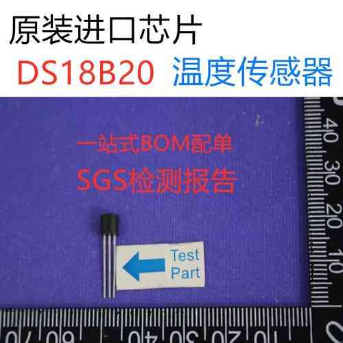 DS18B20数字温度计如何实现电气特性、寄生供电及远距离接线？