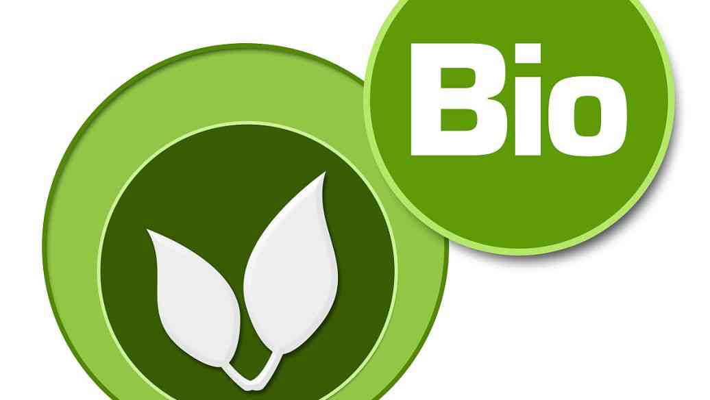 合肥SEO优化报价中，瑶海区的透明度如何体现？