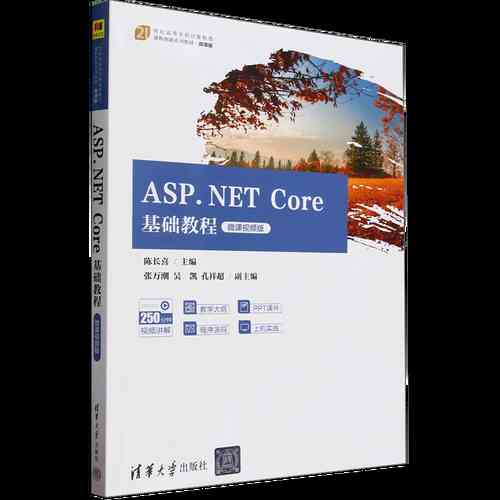 ASP.NET Core基础教程有哪些？