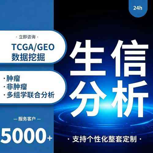 不使用宏的数据库对象具体指哪一种？