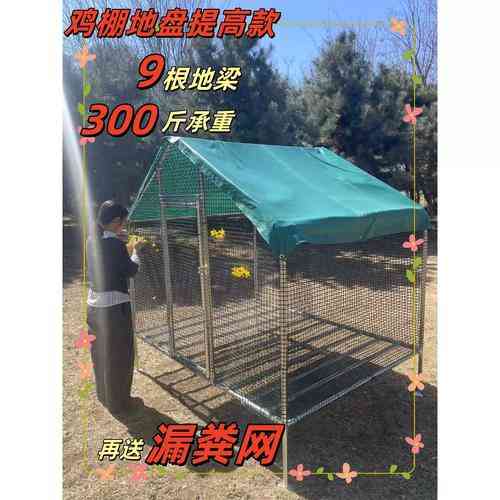 我国养鸡专业合作社网站建设如何利用国家补助政策?