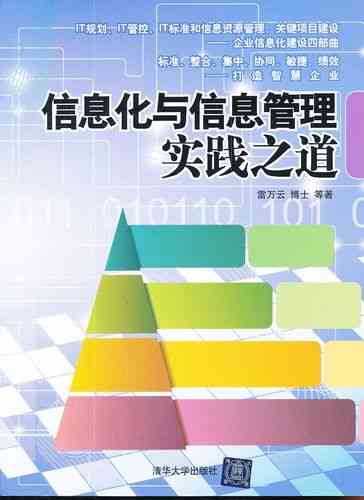 桂阳网站建设与推广深度探究，有哪些专业视角下的实践之道？