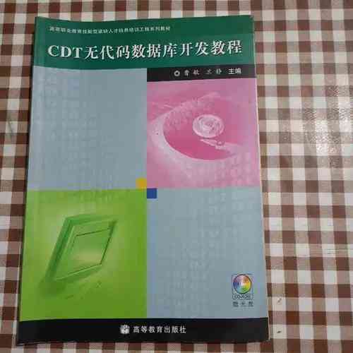 CDT无代码数据库开发具体是做什么的,能实现哪些复杂功能?