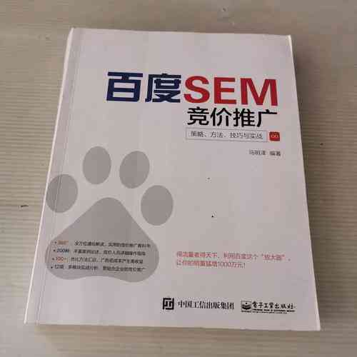 如何高效管理大规模SEM推广账户,掌握策略与技巧?
